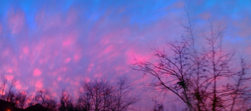 IMG_20130117_173207_969